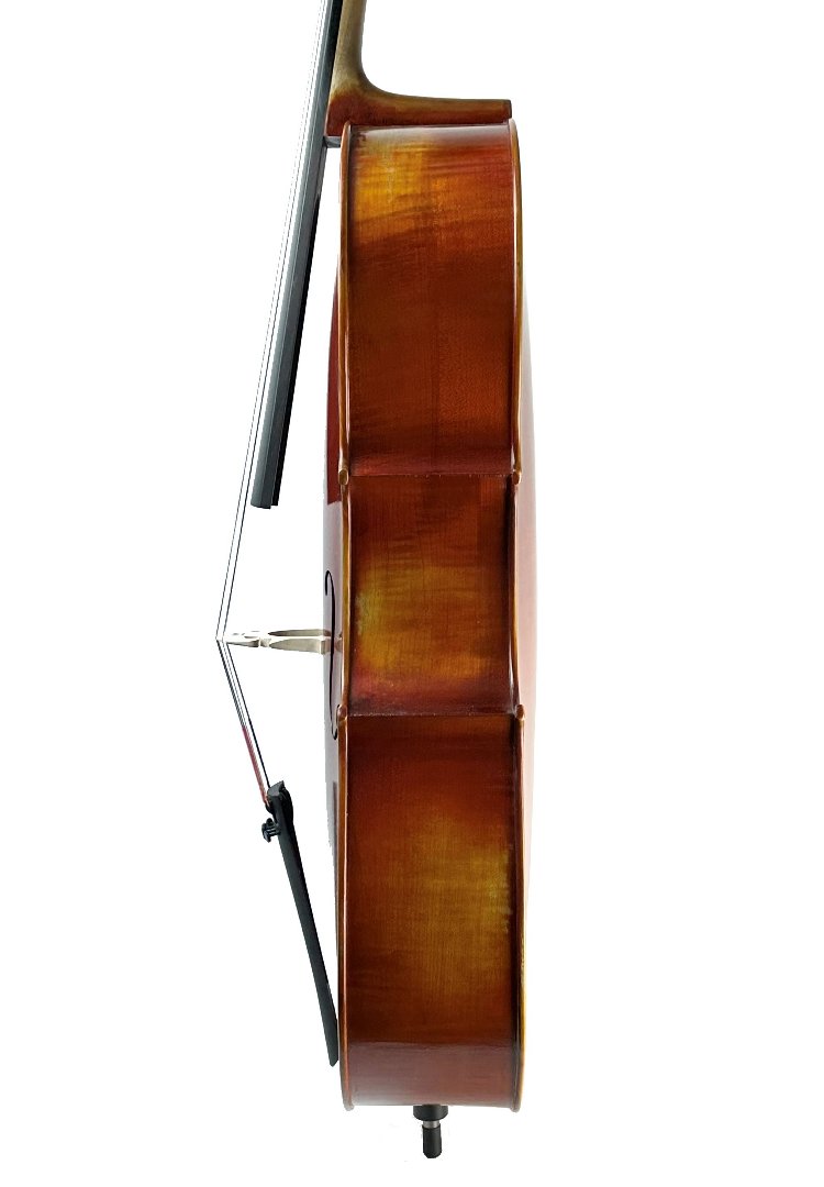 PS/ 181 NEW Premier Select DC302S Pianura Cello 4/4 - Image 3