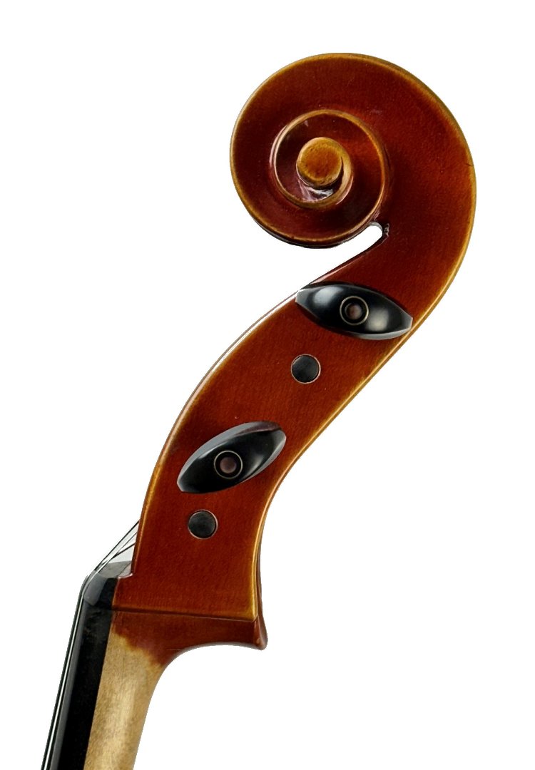 PS/ 181 NEW Premier Select DC302S Pianura Cello 4/4 - Image 4
